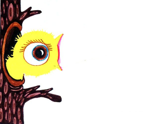2.画出小鸟窝大树干，大树干的肌理也要表现出来，颜色上可以有相似色。