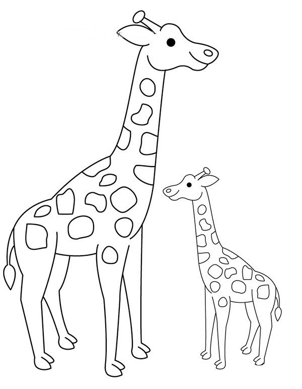 小长颈鹿和长颈鹿妈妈