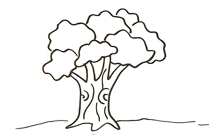 6.在大树的底部画出一条横线代替地平线。