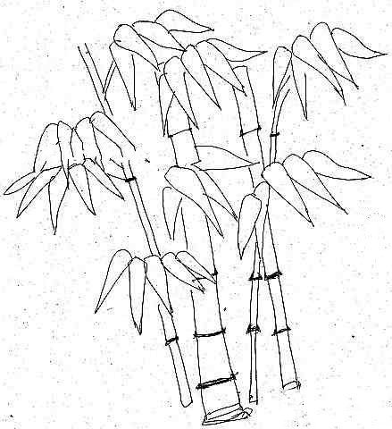 竹子简笔画图片