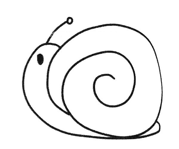 蜗牛简笔画图片3