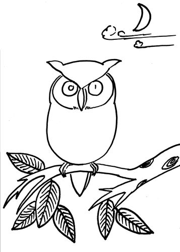 猫头鹰的简笔画画法
