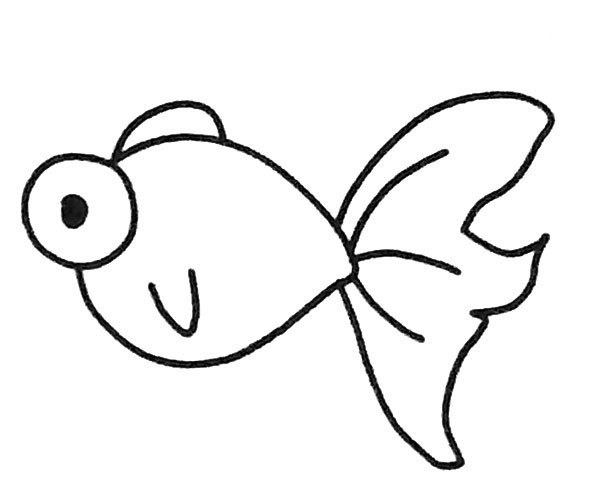 金鱼简笔画图片3