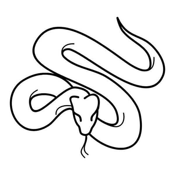 爬行动物蛇的简笔画