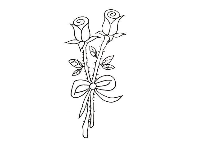 第九步 然后画出花茎上面的倒刺。