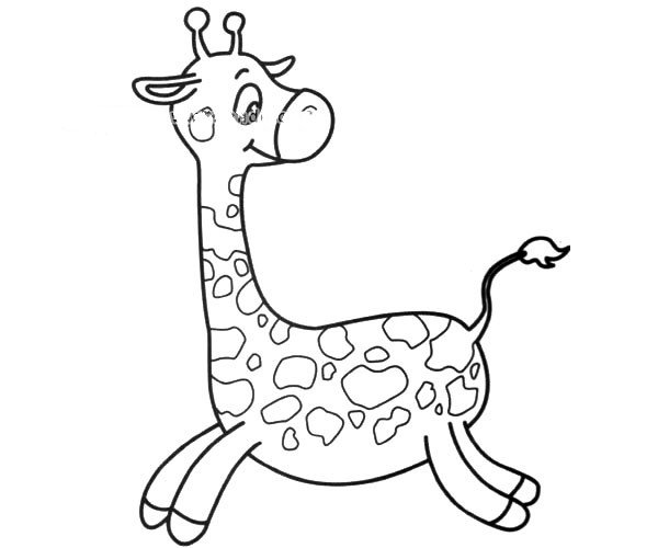 可爱的长颈鹿简笔画图片