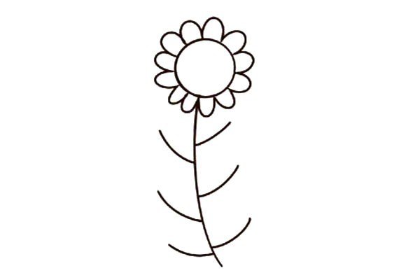 3.围绕圆形画一圈波浪线，作为向日葵的花瓣。