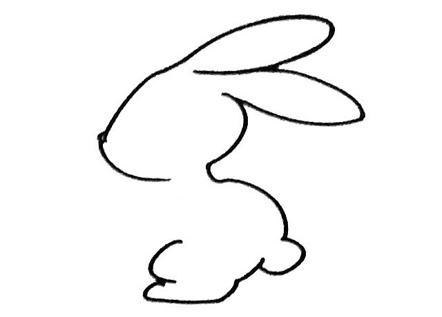 小兔子简笔画步骤2