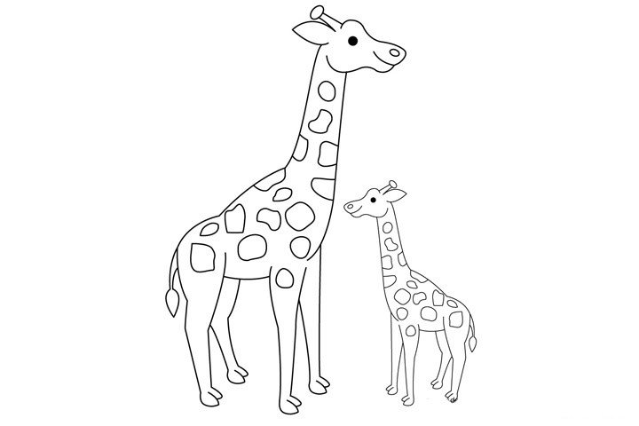 8.最后在用同样的方法，画一只小鹿宝宝。这样我们的长颈鹿简笔画就算画完了。