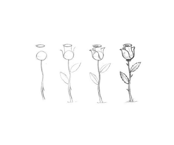 如何画玫瑰花