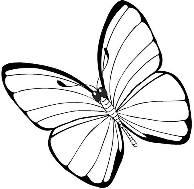 有关于蝴蝶的简笔画精选
