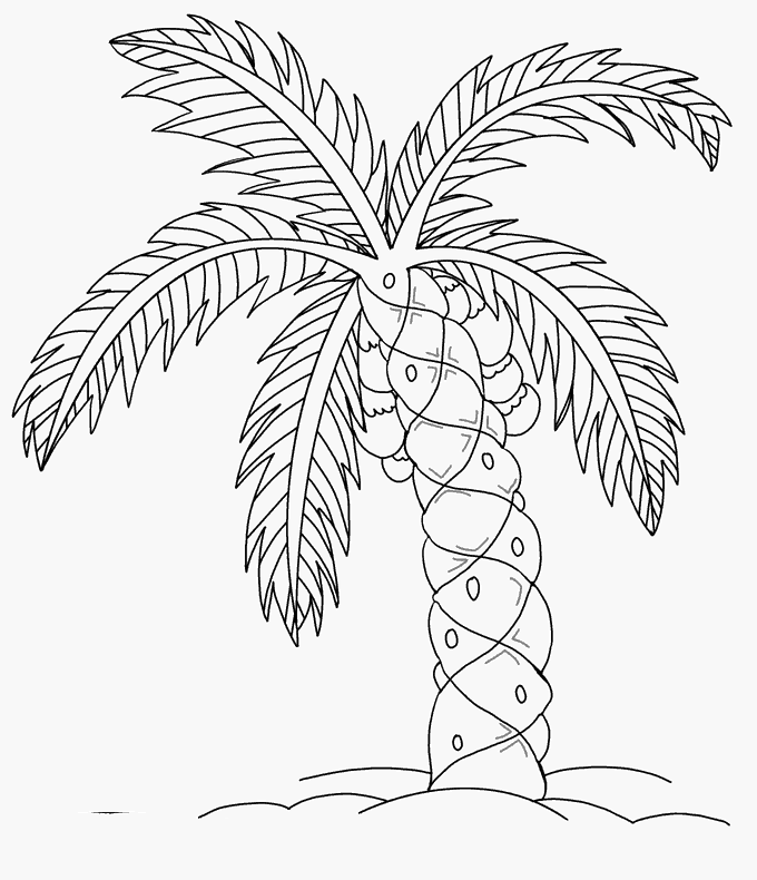 沙滩上的棕榈树1