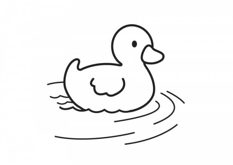 可爱的小鸭子简笔画