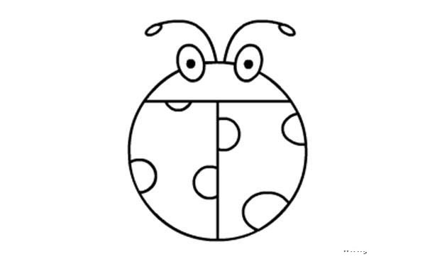甲壳虫、七星瓢虫的画法分解步骤