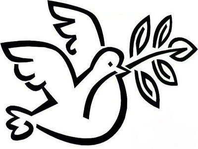橄榄枝与和平鸽简笔画图片