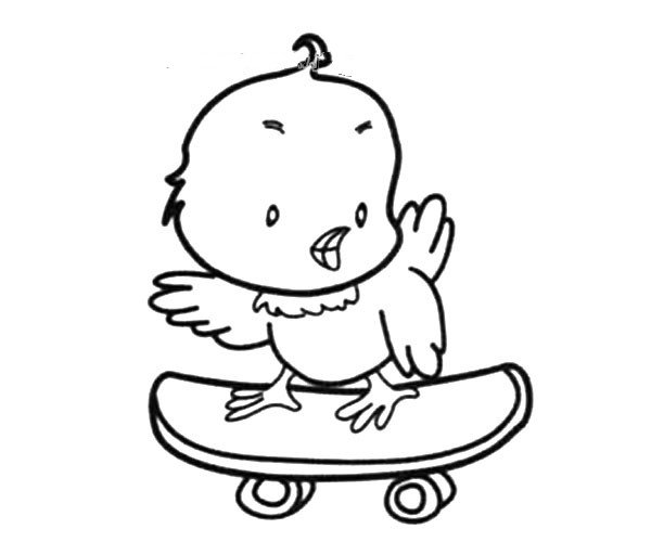 玩滑板的小鸟