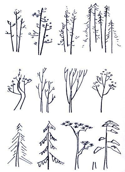 几种大树的简易画法