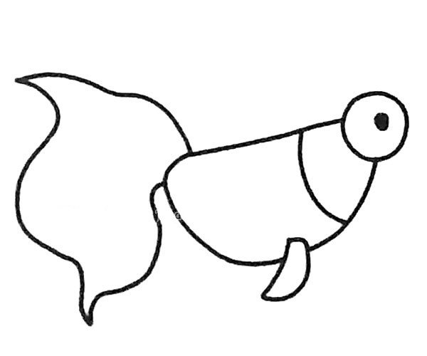 金鱼简笔画图片2