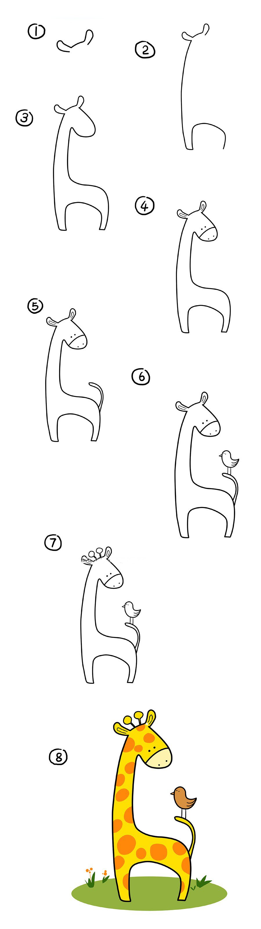 长颈鹿的画法及步骤图