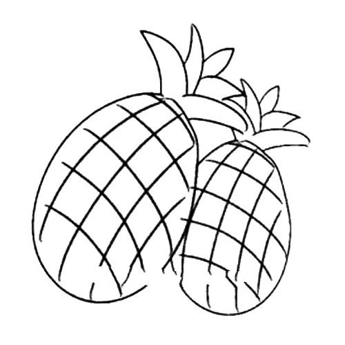 简单的菠萝简笔画图片