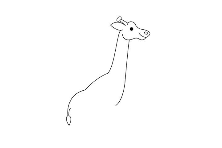 4.接下来弧线画出长颈鹿的背部轮廓和尾巴。