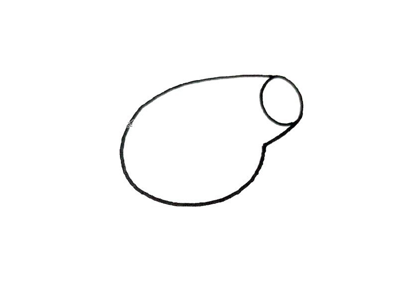 第一步：画出一个大的圆圈，然后在它的斜上方画出一个小一点的椭圆