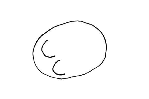 2.然后在里面先画上两条弧线。