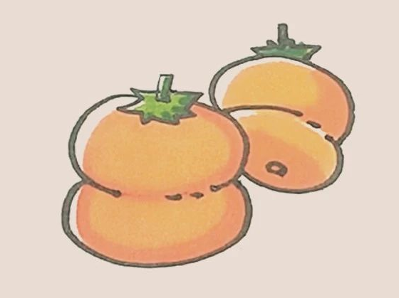 简笔画之柿子