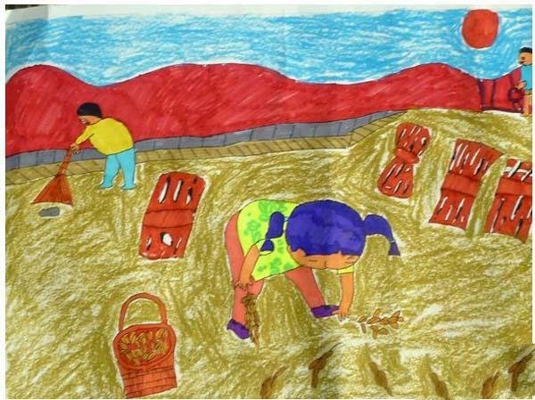 五一儿童画画图片:稻田里拾稻穗