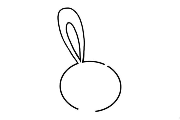 2.给小兔子画上常常的耳朵，一个耳朵竖起来的，一个耳朵有点下垂，这样显得更加可爱。