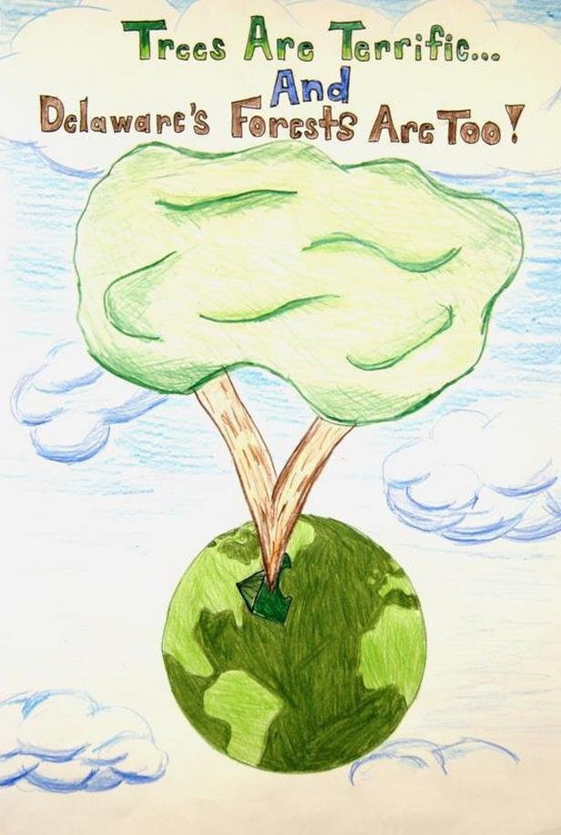 保护地球爱护树木植树节图画欣赏
