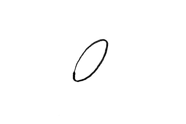 第一步：先画出一个椭圆形。