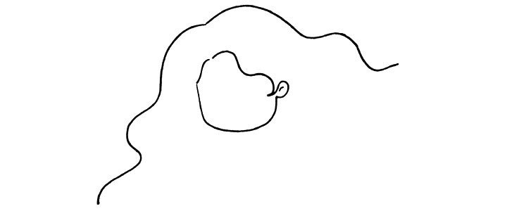 1.画美人鱼的头发和脸部轮廓。
