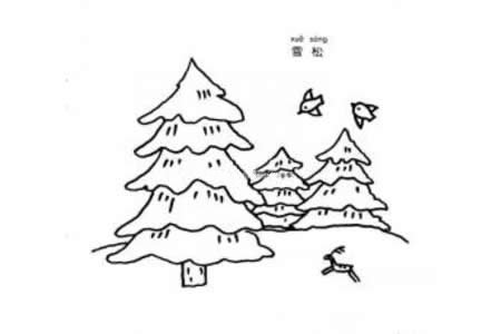 雪松简笔画图片
