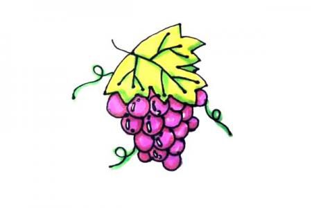 轻松学画葡萄