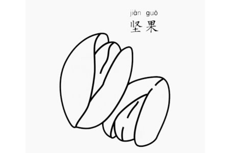 坚果怎么画