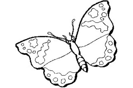 简单的蝴蝶简笔画