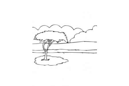 非洲金合欢树简笔画图片