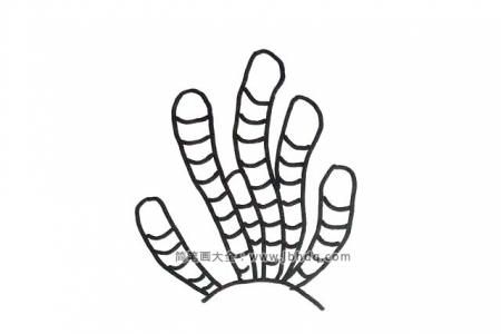 6张海底植物的简笔画图片