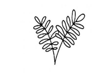 槐树树叶简笔画