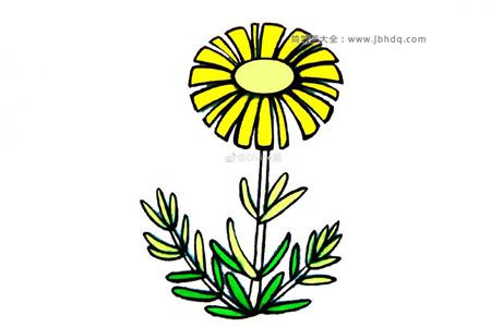 五步画出漂亮的雏菊