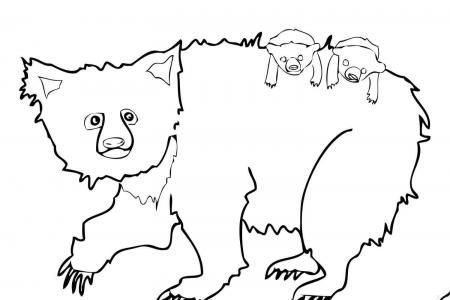 懒熊妈妈和懒熊宝宝