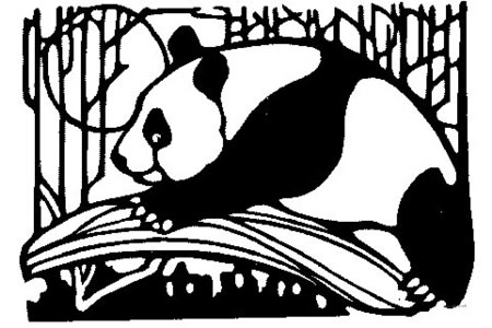 大熊猫在竹林里