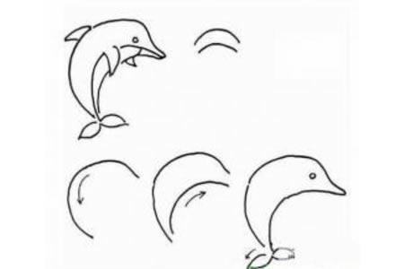 儿童简笔画教程 海豚