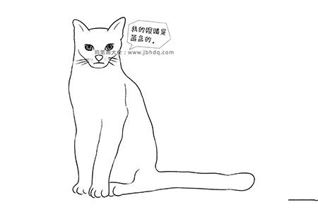 俄罗斯蓝猫