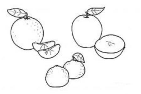 好吃的水果简笔画图片