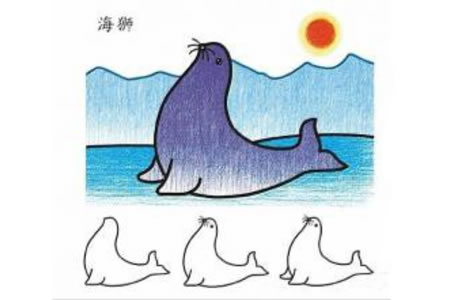 教你如何画海狮