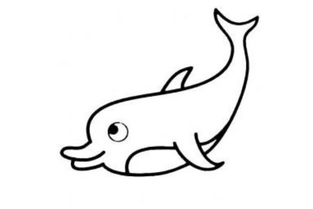 海洋生物简笔画 海豚简笔画图片