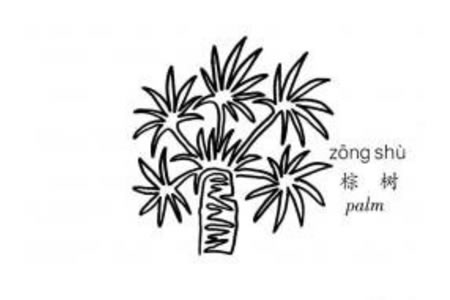 一笔画棕树简笔画作品