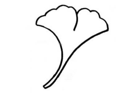 漂亮的银杏树叶简笔画